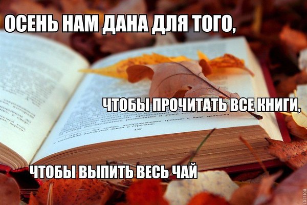 конец.jpg