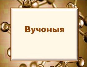 Вучоныя.jpg