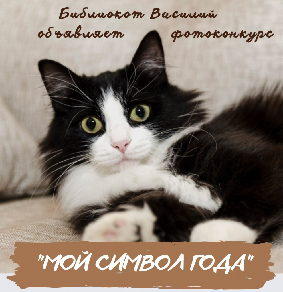 Без кота - в 2023 нікуда! (3) — копия.jpg