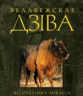Белавежскае дзіва.jpg