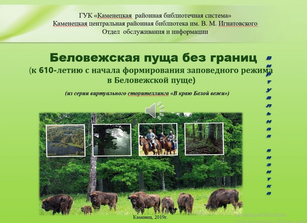 Беловежская пуща.jpg