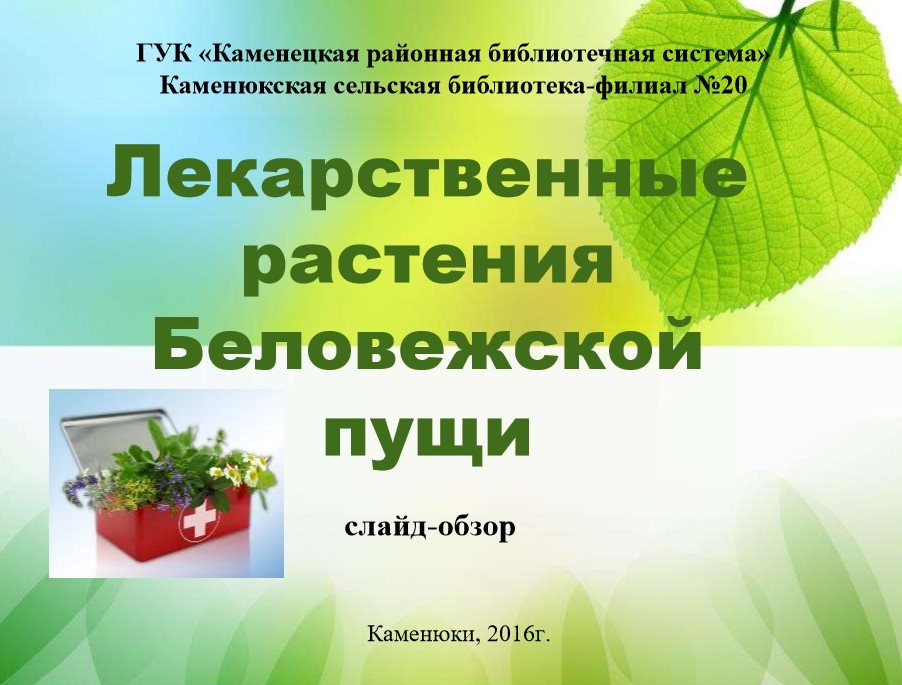 Лекарственные растения Беловежской пущи.jpg